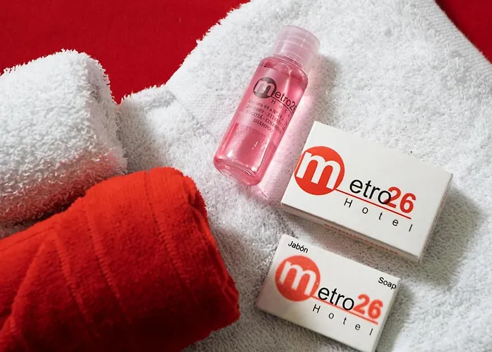 Hotel Metro 26